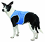 Attēls no Atvēsinoša veste suņiem : Trixie Cooling Vest, PVA