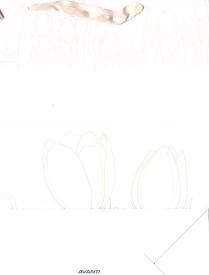 Picture of Avanti Torba TO-3 okolicznociowa MIX AVANTI