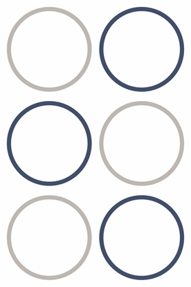 Picture of AVERY Etiketter Ø48 mm, hvid med farvet ramme, aftagelige - (4 ark x 6 stk.)