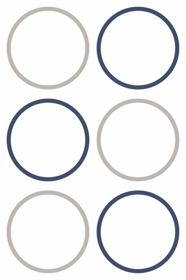 Picture of AVERY Etiketter Ø48 mm, hvid med farvet ramme, aftagelige - (4 ark x 6 stk.)