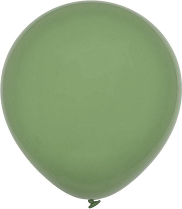Attēls no Balony Decomex pastel Eucalyptus 100szt