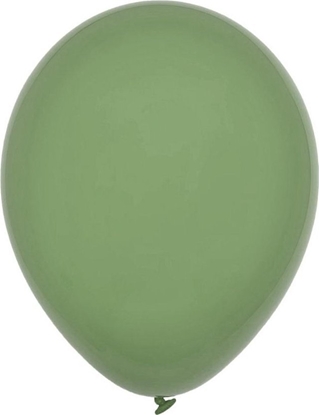 Picture of Balony Decomex pastel Eucalyptus 25szt