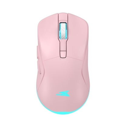 Изображение Baracuda BGM-124 Turtle Pink