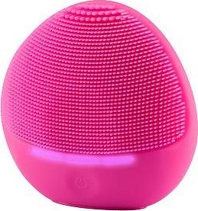 Picture of Beautifly Beautifly BF-306