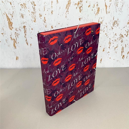 Изображение Bee-bee Teczka Box A4 na gumk Moderno Kamufla Love