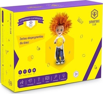 Picture of BeeBox Cytrynowa Elektrownia