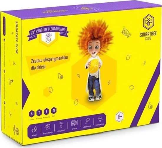 Picture of BeeBox Cytrynowa Elektrownia