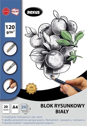 Picture of Beniamin Blok rysunkowy A4/20K biay Premium