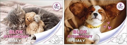 Attēls no Beniamin Blok rysunkowy A4/20K biay The Sweet Pets