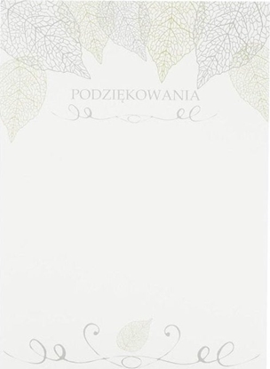 Picture of Beniamin Dyplom okolicznociowy A4/20ark. Podzikowania