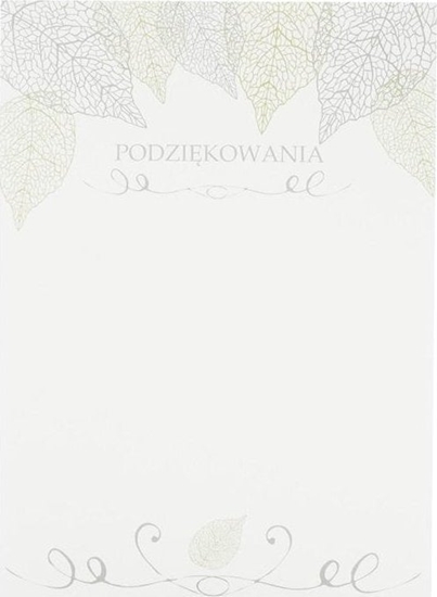 Picture of Beniamin Dyplom okolicznociowy A4/20ark. Podzikowania