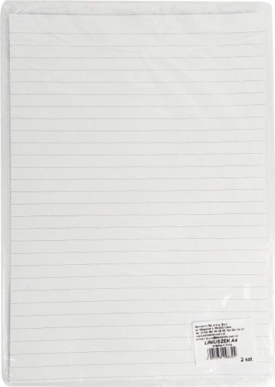 Picture of Beniamin Liniuszek A4 kratka/linia 2szt