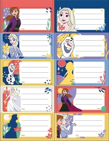 Picture of Beniamin Naklejki na zeszyty Frozen