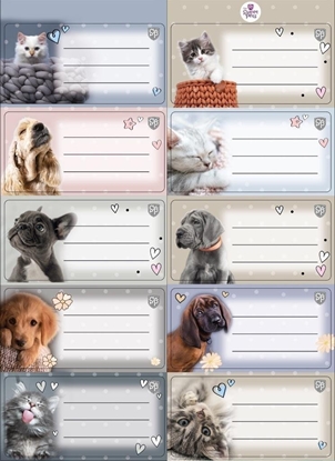 Picture of Beniamin Naklejki na zeszyty pasek The Sweet Pets