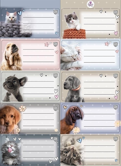 Picture of Beniamin Naklejki na zeszyty pasek The Sweet Pets