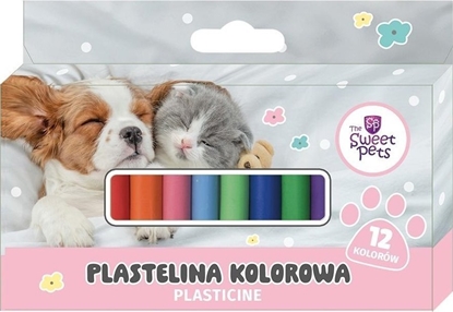 Picture of Beniamin Plastelina The Sweet Pets 12 kolorów