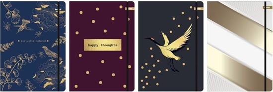 Изображение Beniamin Teczka z gumk A4 Metalic Colour