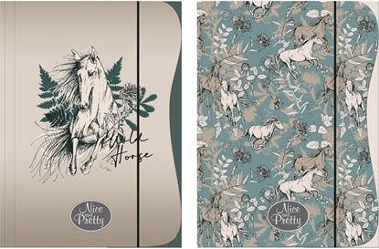 Изображение Beniamin Teczka z gumk A4 Nice&Pretty