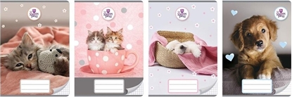 Picture of Beniamin Zeszyt A5/16K kratka The Sweet Pets (20szt)
