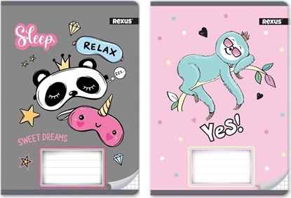 Attēls no Beniamin Zeszyt A5/32K kratka Dziewczynka (10szt)