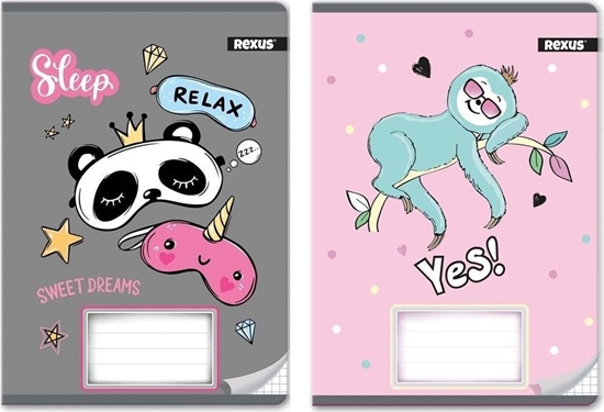 Picture of Beniamin Zeszyt A5/32K kratka Dziewczynka (10szt)