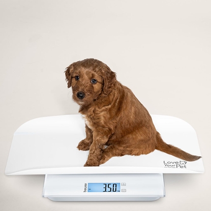 Picture of Beurer waga dla zwierzt i ludzi biay PP 170