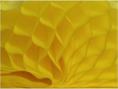 Picture of Bibua przestrzenna óta 20x33cm