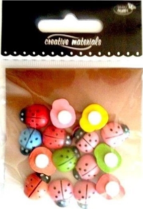 Picture of Biedronki drewniane kolorowe 12x15mm 15szt