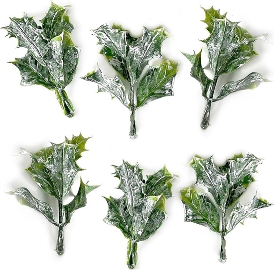 Изображение Bielone licie ostrokrzewu 3szt