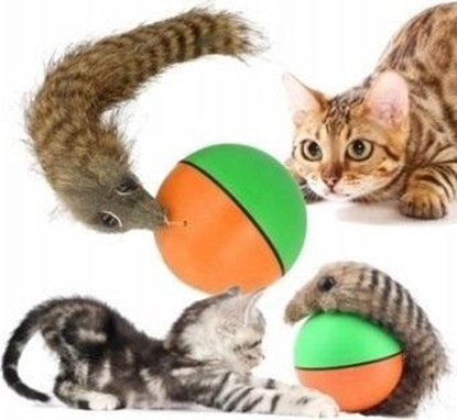 Picture of Bituxx Zabawka dla kota Fretka