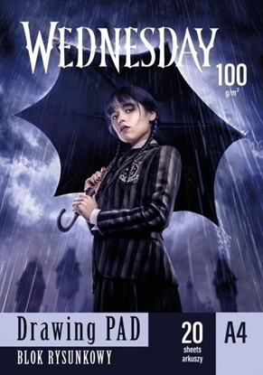 Picture of Blok rysunkowy A4/20K Wednesday (10szt) ASTRA