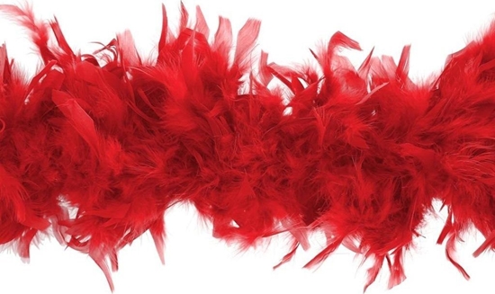 Изображение Boa czerwone 180cm 40g