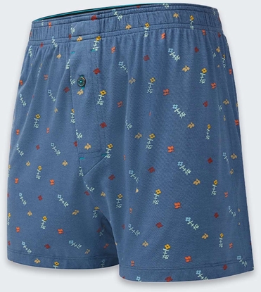 Изображение Bokserki Stance Petal Whimpsy Boxer SeaBlue