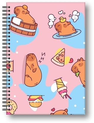 Изображение Brulion A5/80K kratka Kapibara food PENMATE