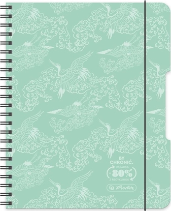 Изображение Brulion na spirali A4/80K kratka mita (2szt)