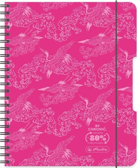 Изображение Brulion na spirali A4/80K kratka róowy (2szt)