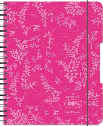 Изображение Brulion na spirali B5/80K kratka róowy (2szt)