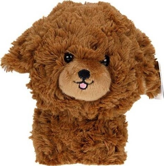 Picture of Carmotion Maskotka Teddy Pets, Pudel, brzowy