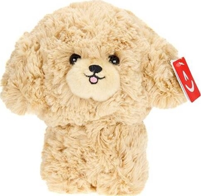 Picture of Carmotion Maskotka Teddy Pets, Pudel, zoty