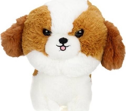 Picture of Carmotion Maskotka Teddy Pets, Shih Tzu
