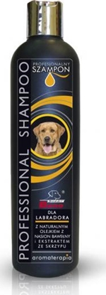 Picture of CERTECH CERTECH Super Beno Professional - Szampon dla Labradora 250ml