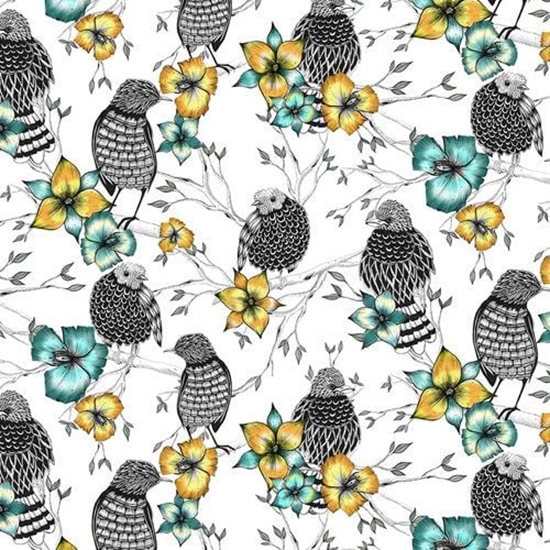 Picture of Clear Creation Karnet kwadrat CL0409 Etniczne ptaki