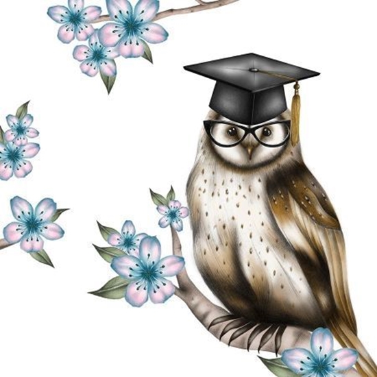 Picture of Clear Creation Karnet Swarovski kwadrat CL0309_BL Sowa