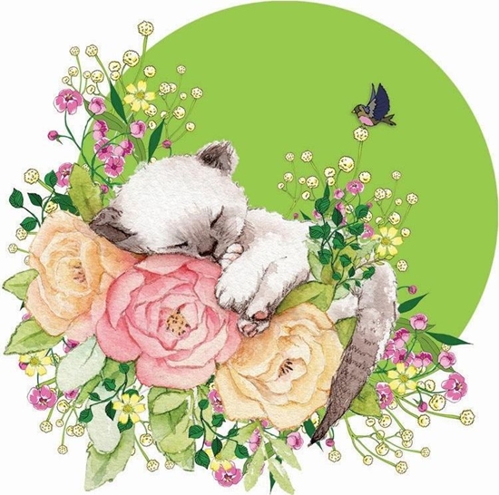 Picture of Clear Creation Karnet Swarovski kwadrat CL2002 Kot