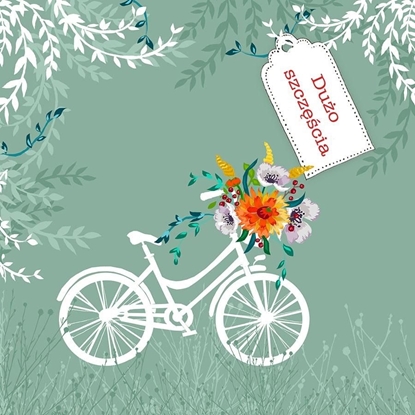 Attēls no Clear Creation Karnet Swarovski kwadrat CL3405 Duo szczcia