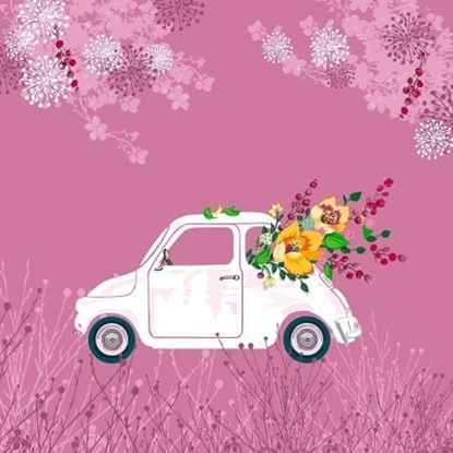 Attēls no Clear Creation Karnet Swarovski kwadrat CL3406 Auto