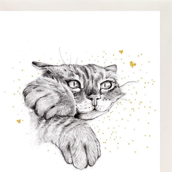 Picture of Clear Creation Karnet Zocony kwadrat CL3806_BL Kot