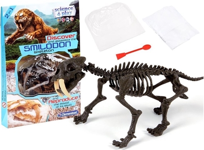 Изображение Clementoni Clementoni Smilodon Zbuduj szkielet tygrysa ZA3713
