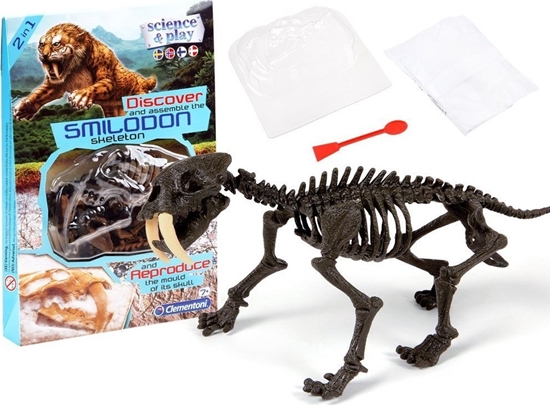 Изображение Clementoni Clementoni Smilodon Zbuduj szkielet tygrysa ZA3713