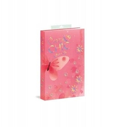 Изображение CLM CRAZY CHIC PALETKA WIOSNA 18164 PUD8